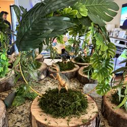 Dinosaur Centerpieces 