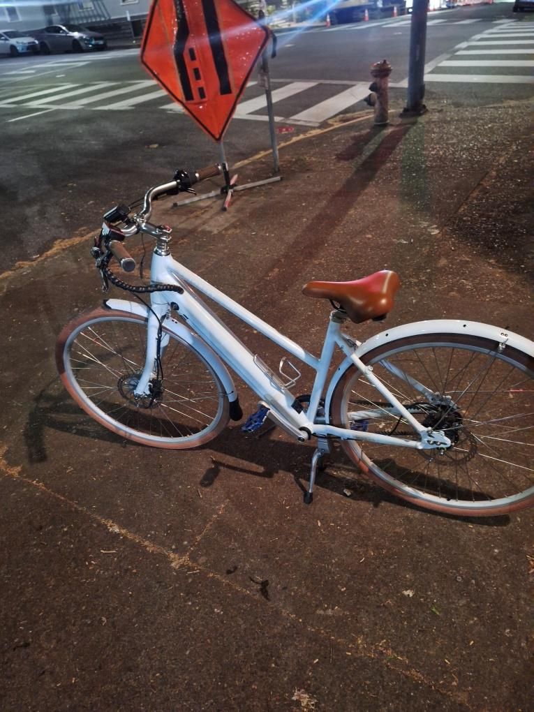 Priority E-Bike Pedal Assist 18”