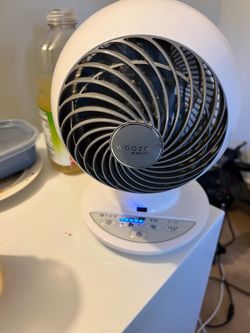 Fan