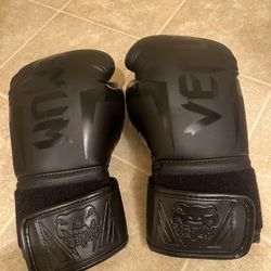 Boxing Gloves Venum