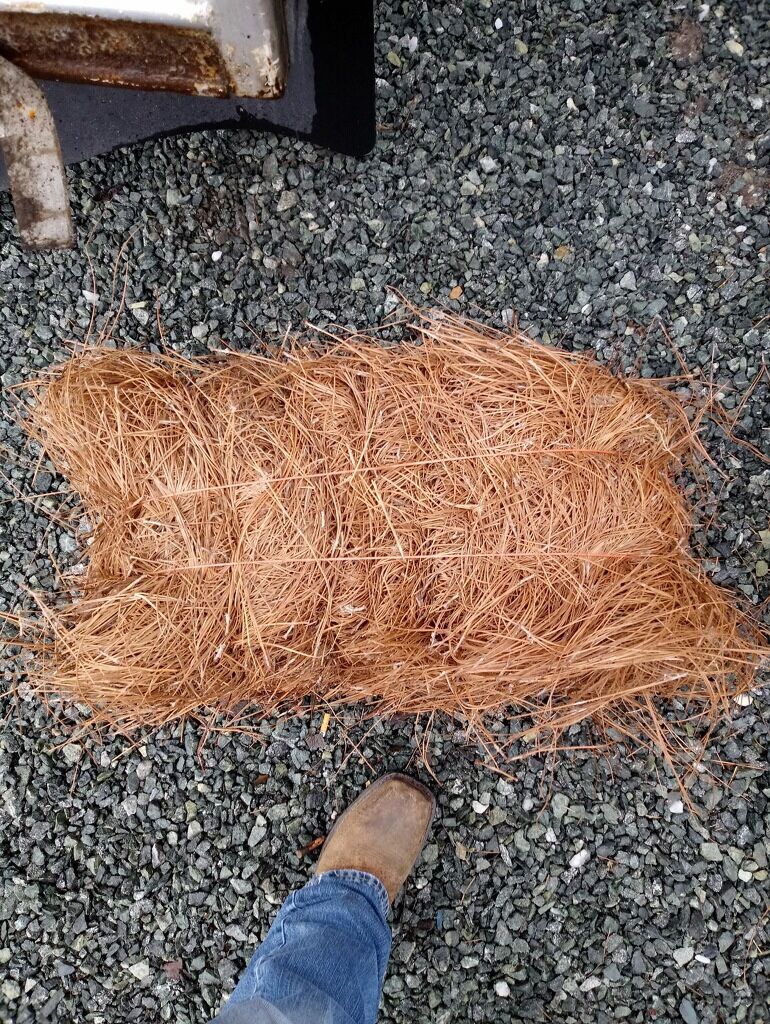 Long needle pine needles 4 a bale for Sale in Burlington, NC OfferUp