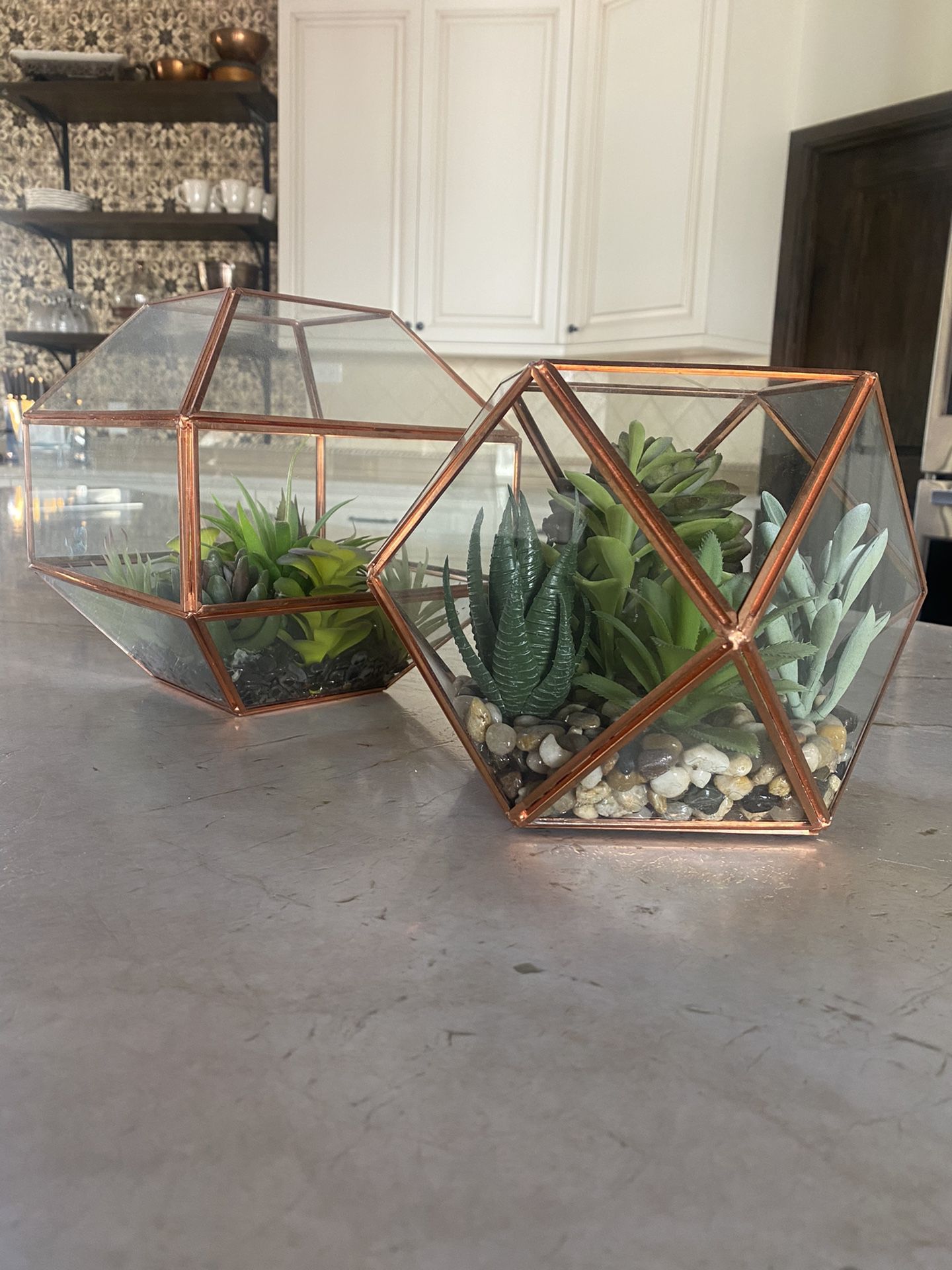 Set Of 2 Glass Plant Terrariums with Artificial Succulents