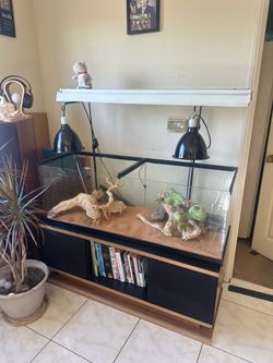 Aquarium with stand