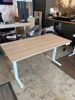 55x28” Electric Standing desk Height adjustable desk computer desk home office desk