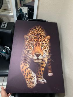 Wall art / Frame / Cuadro De Tigre