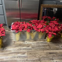 Ashland Xmas Noel Red Velvet Poinsettia 
