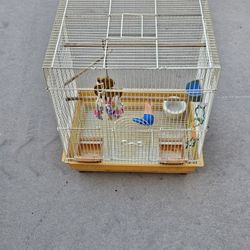 Bird Cage 