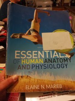 Essentials of human anathomy book