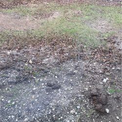 Need Clean Fill Dirt In Red Oak 