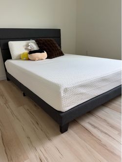 Queen Bed Frame + FREE Memory Foam Mattress