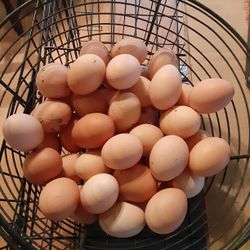 Pastured Eggs