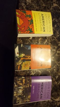 The norton anthology American literature