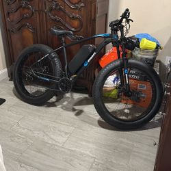 Electric bike