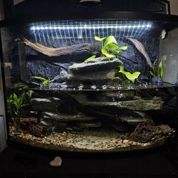 36gal Tank All Included (DECOR NOT SOLD SEPARATELY)