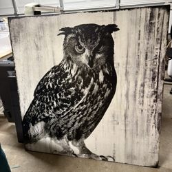 Framed Owl Picture. 47x47 1/2x 1 1/2”