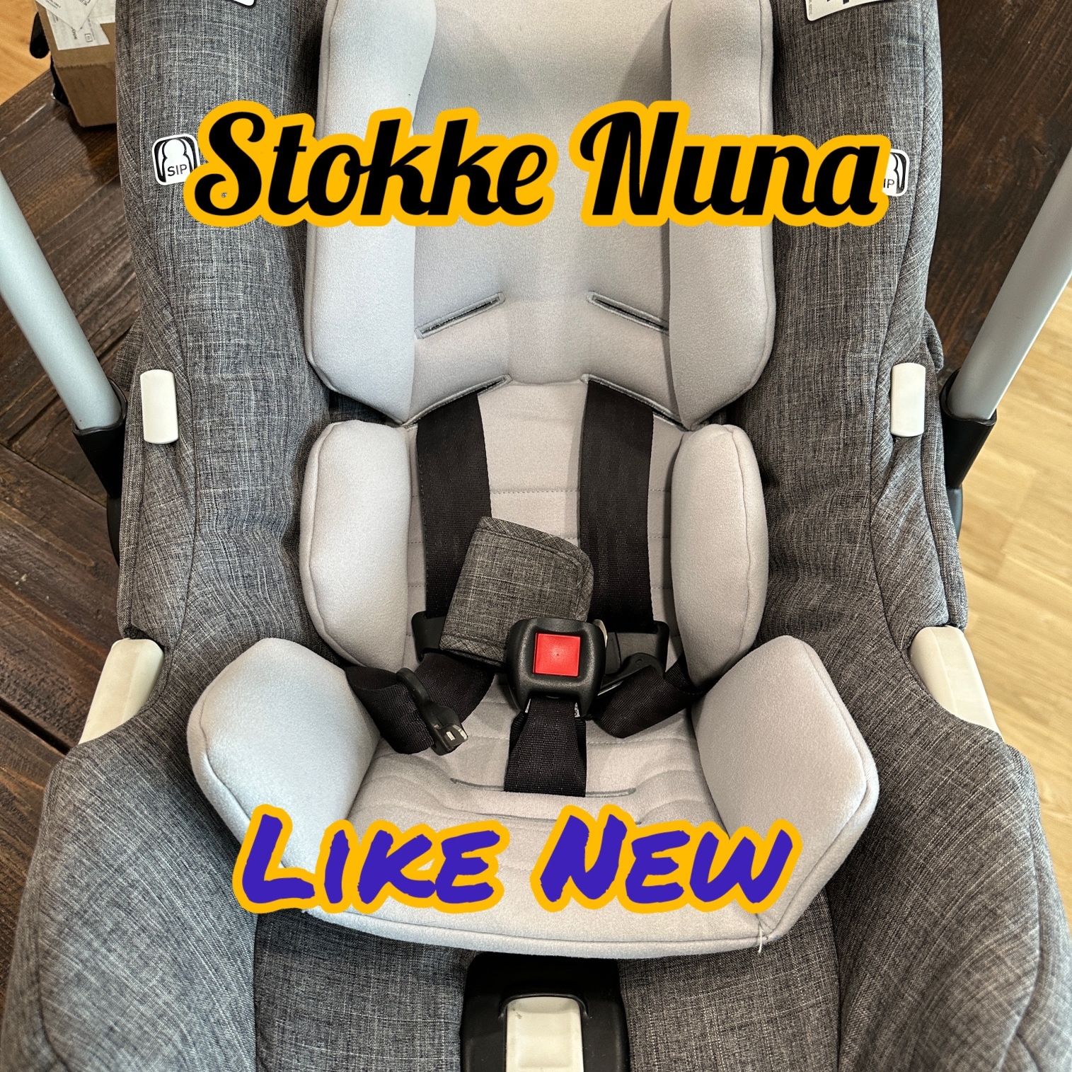 Nuna Pipa Car seat And Base 2020 