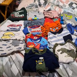 Boys Clothes  2t And 3t 
