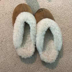 Slippers 