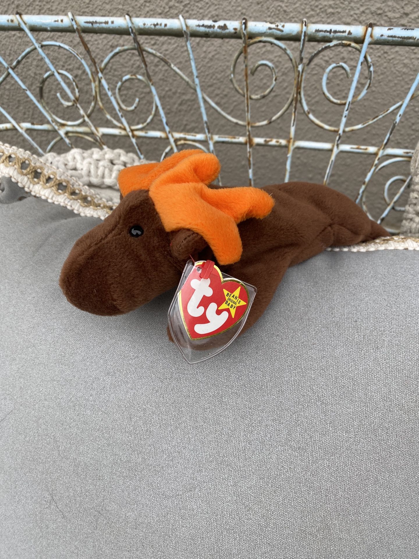 Rare Chocolate Beanie Baby