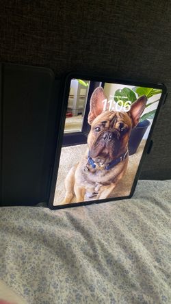 Apple iPad Pro 4th Generation