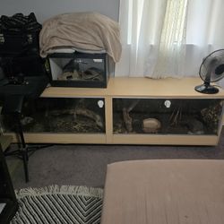 Reptile Tanks One Exo Terra All Fully Decorated 