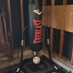 Everlast Heavy Bag And Stand 