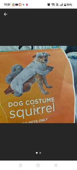 Dog costume