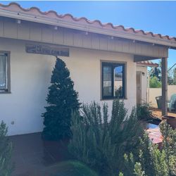 Artificial Christmas Tree - 9 Ft