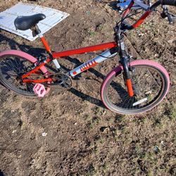 Reflective Mongoose Bike