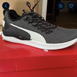 Pumas New