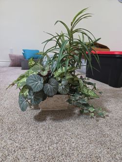 Artificial Mixed Plant Arrangement in Decorative Pot