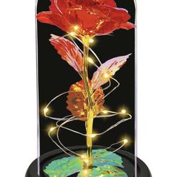 Jeekgsk Valentines Day Gifts for Her,Birthday Gifts for Women,Light up Rose in Glass Dome,Roses Flower Gifts for Mom,Valentine's Day Gifts Wedding Ann