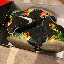 Lebron 11 Everglades Size 9