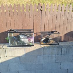2 Fish Tanks