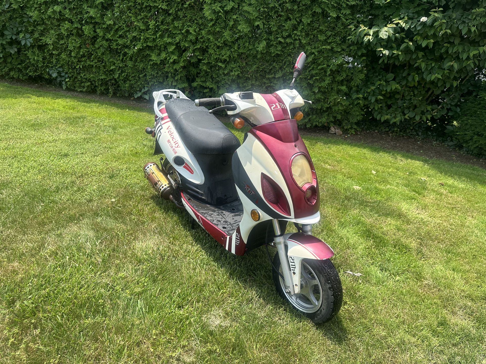 2008 Titan Velocity