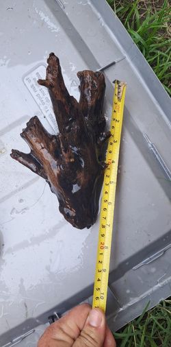 Drift Wood For Fish Tank Or Pond