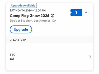 VIP 2-Day Camp Flog Gnaw