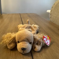 Ty Beanie Baby Spunky the Cocker Spaniel dog plush toy. 