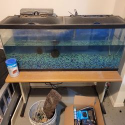50 Gallon Fish Tank 