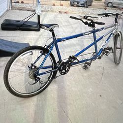 Raleigh Captain Coupe Bike 