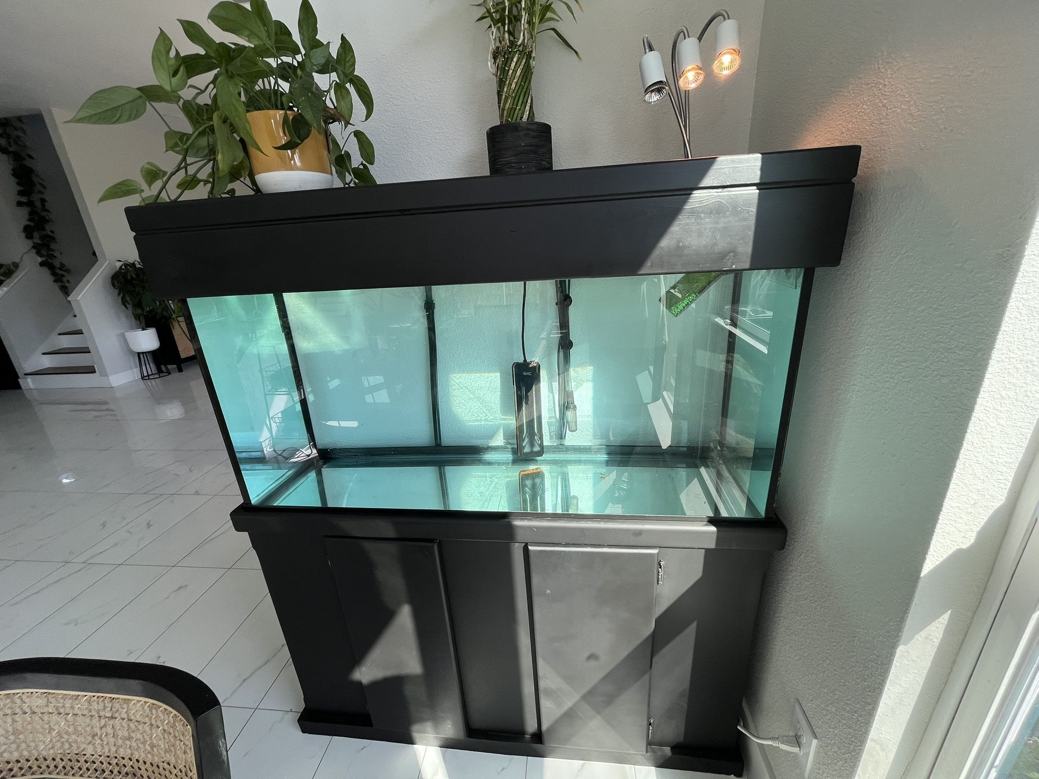 75 Gallon Fish Tank Aquarium