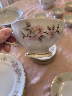 Pink Floral Bavarian Mitterteich  China Set  Dishes Antique 