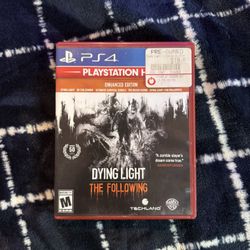 Dying Light, The Following