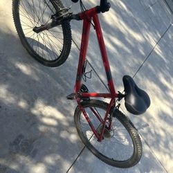 Adult Size Mountain Bike 
