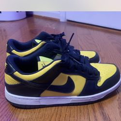 Nick dunk michigan size 10