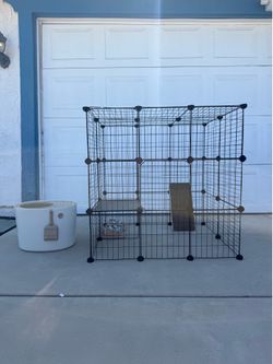 Cat Catio