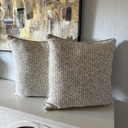 New Decorative Pillow 20x20 Set $15 