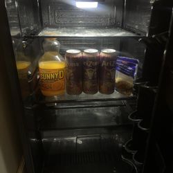 Mini Fridge 