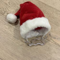 Dog Santa Hat