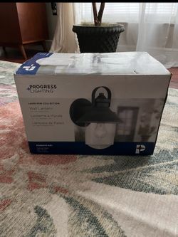 New Outdoor Black Wall Lamp ( hardwired/ only one )